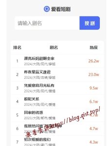 短剧搜索平台网站源码-旗星博客网