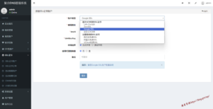 彩虹聚合DNS管理系统v2.0.1源码-旗星博客网